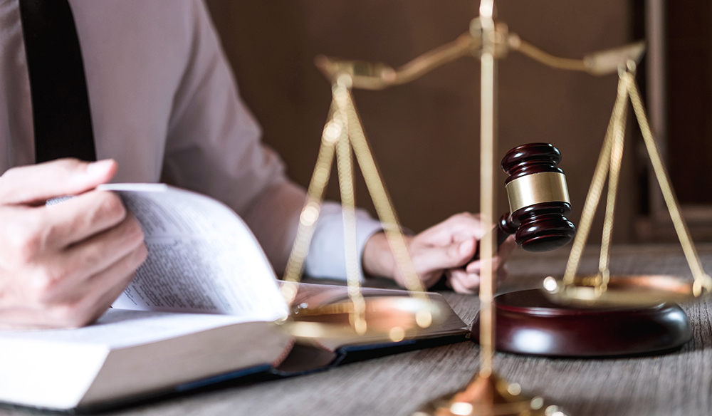 Servizi legali e elaborazione dati contabili